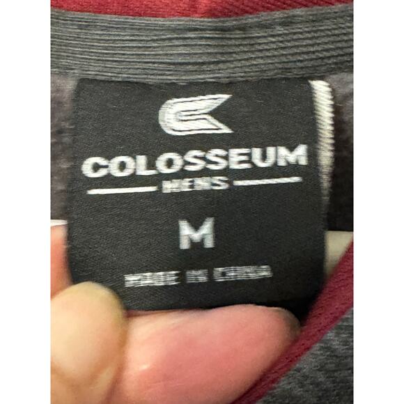 Colosseum Men's Florida State Seminoles Hoodie Gray Size M - Picture 9 of 9